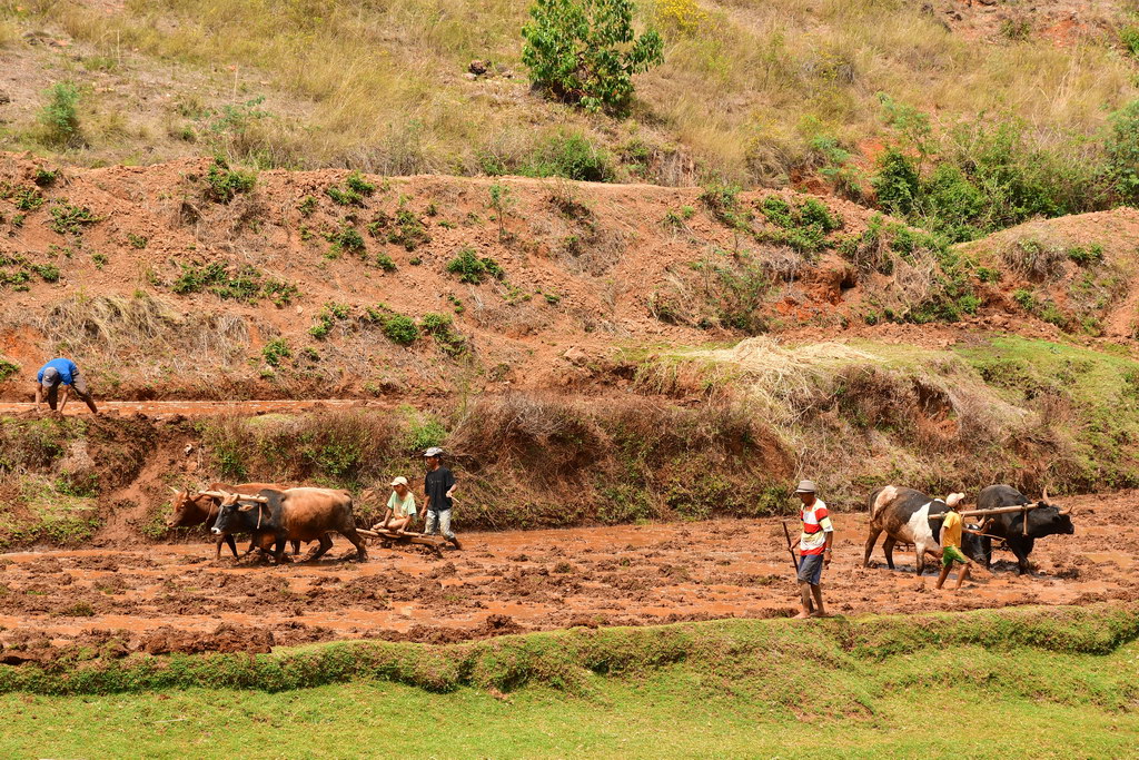 Antsirabe to Antananariva